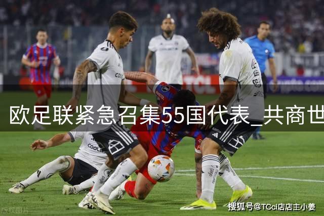 欧足联紧急召集55国代表 共商世界杯商业化危机
